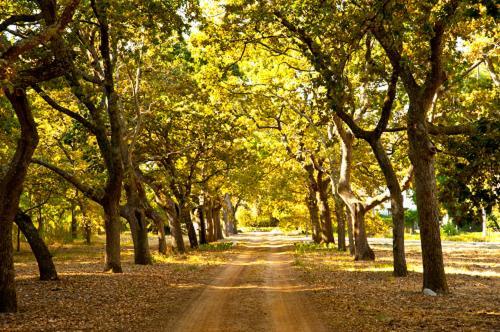 Lekkerwijn Historic Country House ฟรันเชิค ภายนอก รูปภาพ